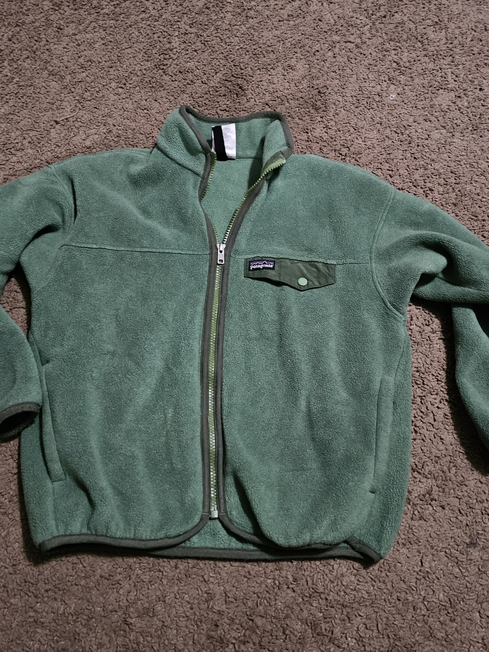 Patagonia Kids Green Full-Zip Lightweight Fleece Jacket
